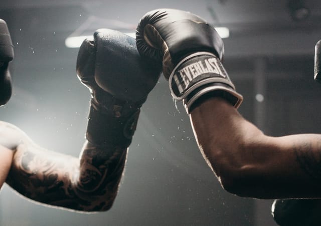 boxing-gloves Boxing Gloves